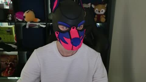 MellPUP online show from April 8, 9:04 pm