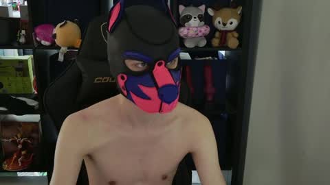 MellPUP online show from April 9, 9:31 pm