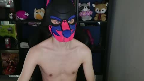 MellPUP online show from April 15, 12:06 am