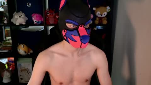 Snapshot of mellpup chatting on June 8, 8:42 pm MellPUP online show from June 8, 8:42 pm