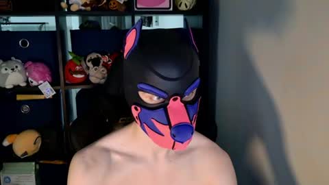 Snapshot of mellpup chatting on June 20, 3:15 pm MellPUP online show from June 20, 3:15 pm