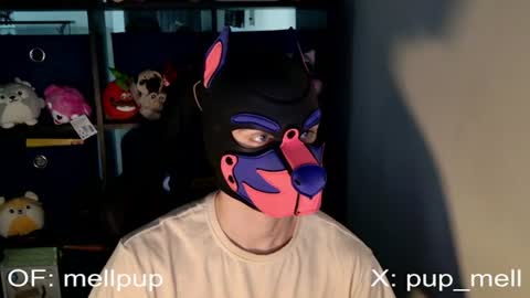 Snapshot of mellpup chatting on June 25, 1:04 pm MellPUP online show from June 25, 1:04 pm