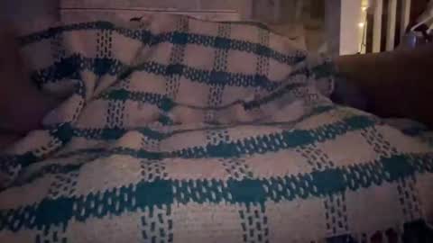 melt13 online show from September 9, 9:20 am