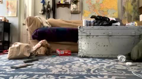 melt13 online show from April 21, 2:45 pm