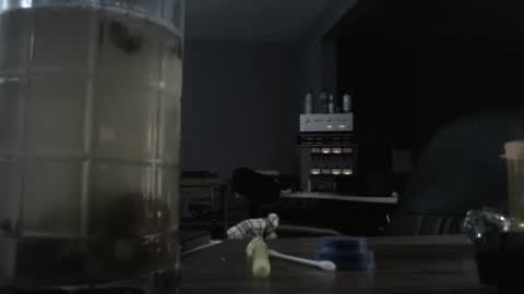 I am usually high and horny...lol online show from October 21, 12:44 am