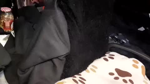 Giorggio Fragacci online show from January 24, 4:16 am