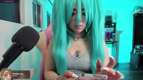 meowmelf online show from December 2, 1:00 am