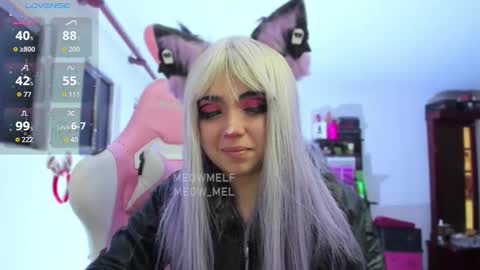 meowmelf online show from January 13, 7:41 pm