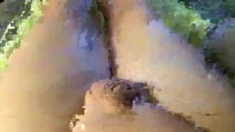 Wade online show from January 8, 1:42 am