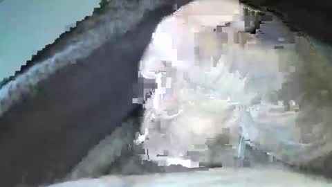 mexianthehawk online show from September 14, 10:09 pm