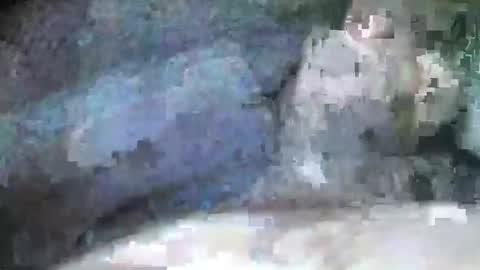 mexianthehawk online show from September 28, 9:09 pm