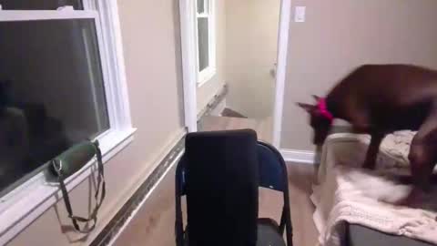 Snapshot of miamak chatting on December 20, 2:07 am miamak online show from December 20, 2:07 am