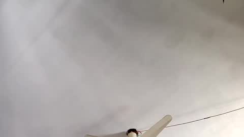 Snapshot of mian7 chatting on December 22, 8:27 am mian7 online show from December 22, 8:27 am