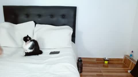 Snapshot of michael_0814 chatting on July 5, 6:42 am Michael Iris online show from July 5, 6:42 am
