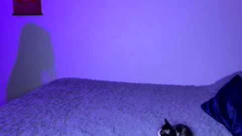 michellepetitte online show from April 2, 1:58 am