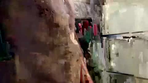 mickavis1975 online show from January 12, 6:05 pm