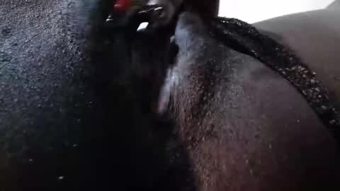 Snapshot of micmash_ chatting on December 16, 12:43 pm mickey online show from December 16, 12:43 pm