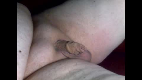 micropimmel online show from March 19, 8:24 pm