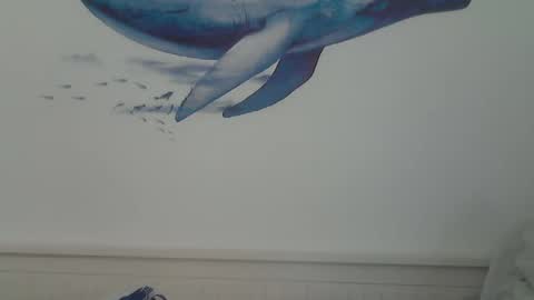 Snapshot of midhir chatting on January 15, 7:44 pm kike online show from January 15, 7:44 pm