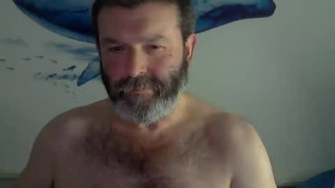 Snapshot of midhir chatting on January 30, 3:19 pm kike online show from January 30, 3:19 pm