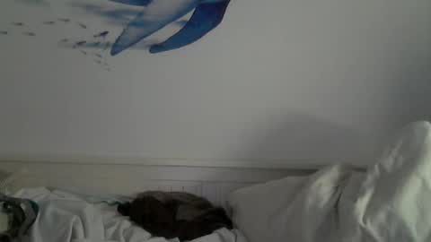 Snapshot of midhir chatting on January 31, 4:59 pm kike online show from January 31, 4:59 pm