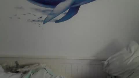 Snapshot of midhir chatting on February 3, 2:34 pm kike online show from February 3, 2:34 pm