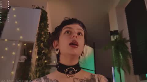 Snapshot of mika_moon_ chatting on November 12, 4:18 pm mika_moon_ online show from November 12, 4:18 pm