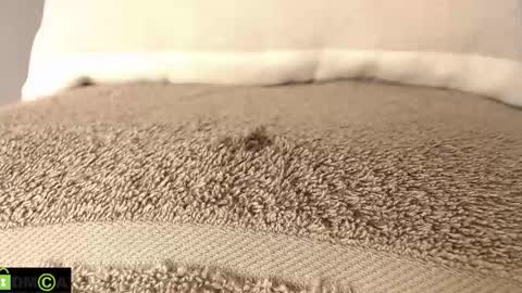 Snapshot of mikell_williams10 chatting on March 12, 8:52 pm Mikell Williams online show from March 12, 8:52 pm