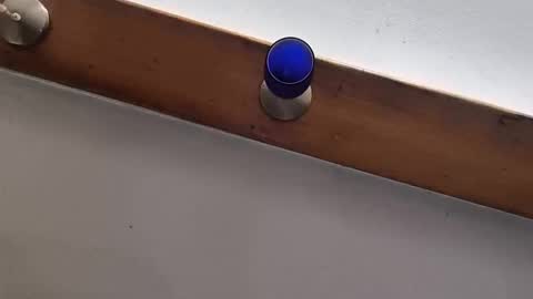 miky17cm online show from January 12, 12:27 am