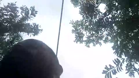 miky17cm online show from January 12, 7:41 pm