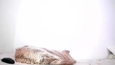 mina smith online show from March 24, 3:39 pm