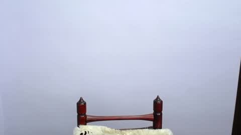 MINATO online show from December 19, 11:25 pm