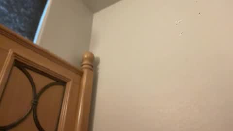 Minx online show from February 11, 2:22 pm