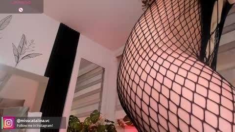 Catalina online show from April 1, 1:41 pm