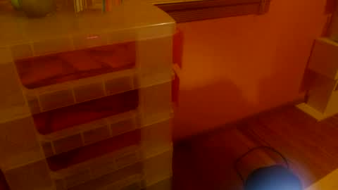 Snapshot of misskittyfox chatting on June 25, 4:56 am MissKittyFox online show from June 25, 4:56 am