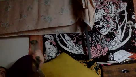 Snapshot of mistressmystii chatting on January 12, 6:28 am Mistress Mystii online show from January 12, 6:28 am