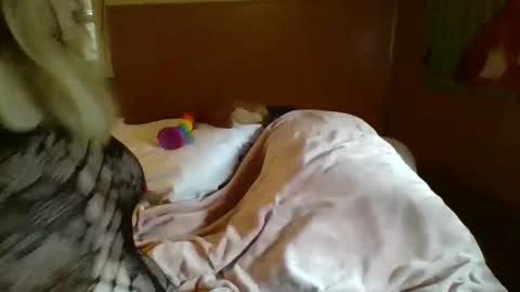 Snapshot of mitchellebunny7 chatting on February 5, 6:48 pm MichelleBunny7 online show from February 5, 6:48 pm