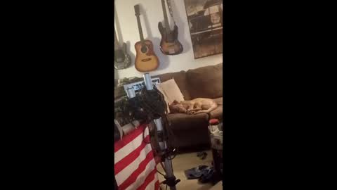 BobbyMitchGa online show from April 29, 6:06 am