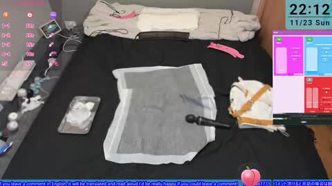 Snapshot of mkuo chatting on November 23, 1:11 pm mkuo online show from November 23, 1:11 pm