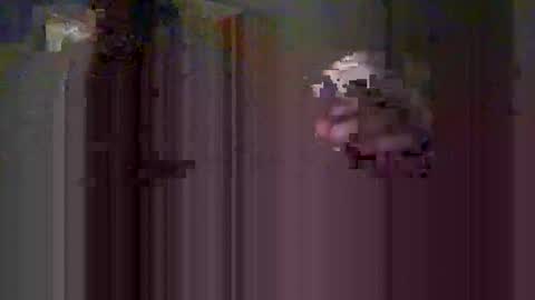 mmiltos online show from February 9, 5:28 pm