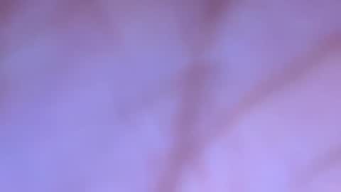 mmmtara online show from December 19, 8:38 pm