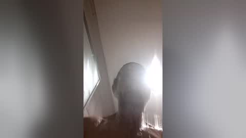 moemoe14 online show from July 2, 4:35 pm