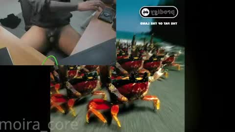 moira_core online show from July 24, 10:13 am
