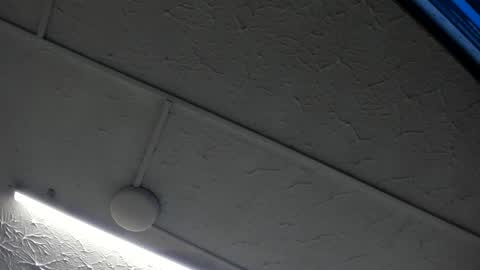 Hey Guys  Im Mollie online show from January 15, 12:10 pm