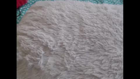 Snapshot of mollyandbra chatting on February 6, 10:21 pm Molly And Brad online show from February 6, 10:21 pm