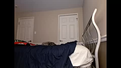 moneyboysaveg584 online show from April 12, 10:09 am