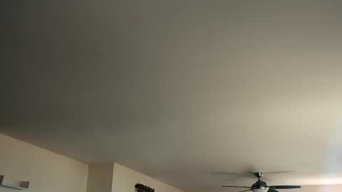 Monkee Dance online show from January 12, 5:44 pm