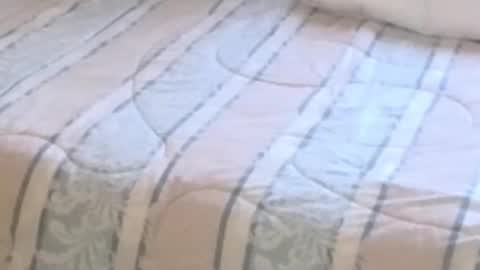 montydxxx2 online show from February 12, 11:22 pm