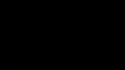 Snapshot of mospeleu chatting on March 1, 5:49 pm Nomadu online show from March 1, 5:49 pm