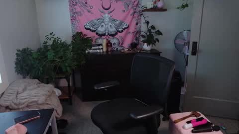 Snapshot of mousiegirl chatting on February 27, 7:47 pm Mousie online show from February 27, 7:47 pm